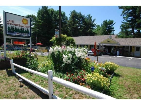 Lake Winnipesaukee - Waterfront - 526 ويرس بيتش المظهر الخارجي الصورة